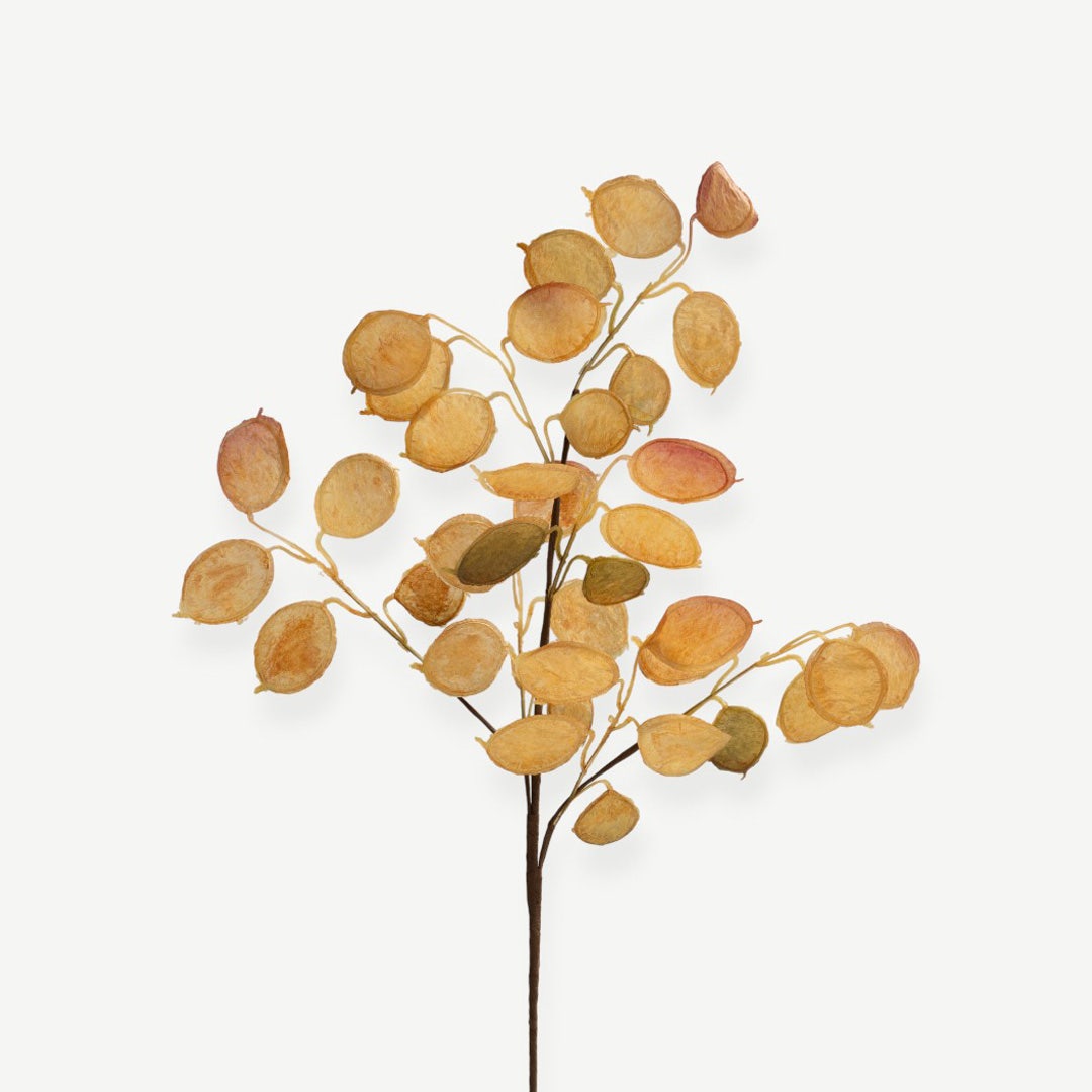 Eucalyptus Leaves - Amber
