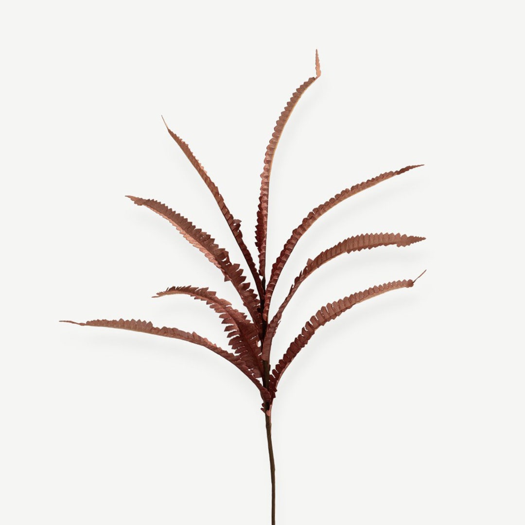 Fern Plant - Red