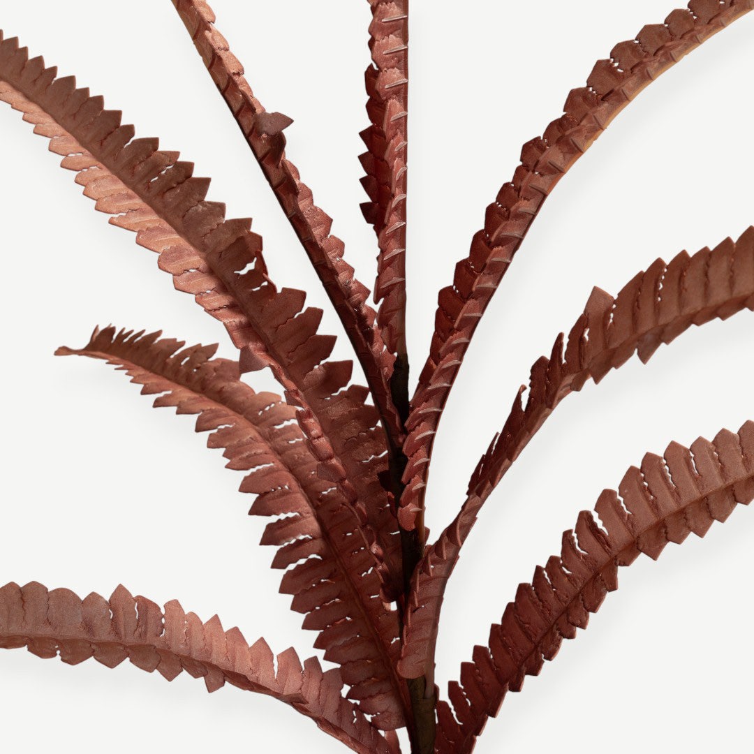 Fern Plant - Red