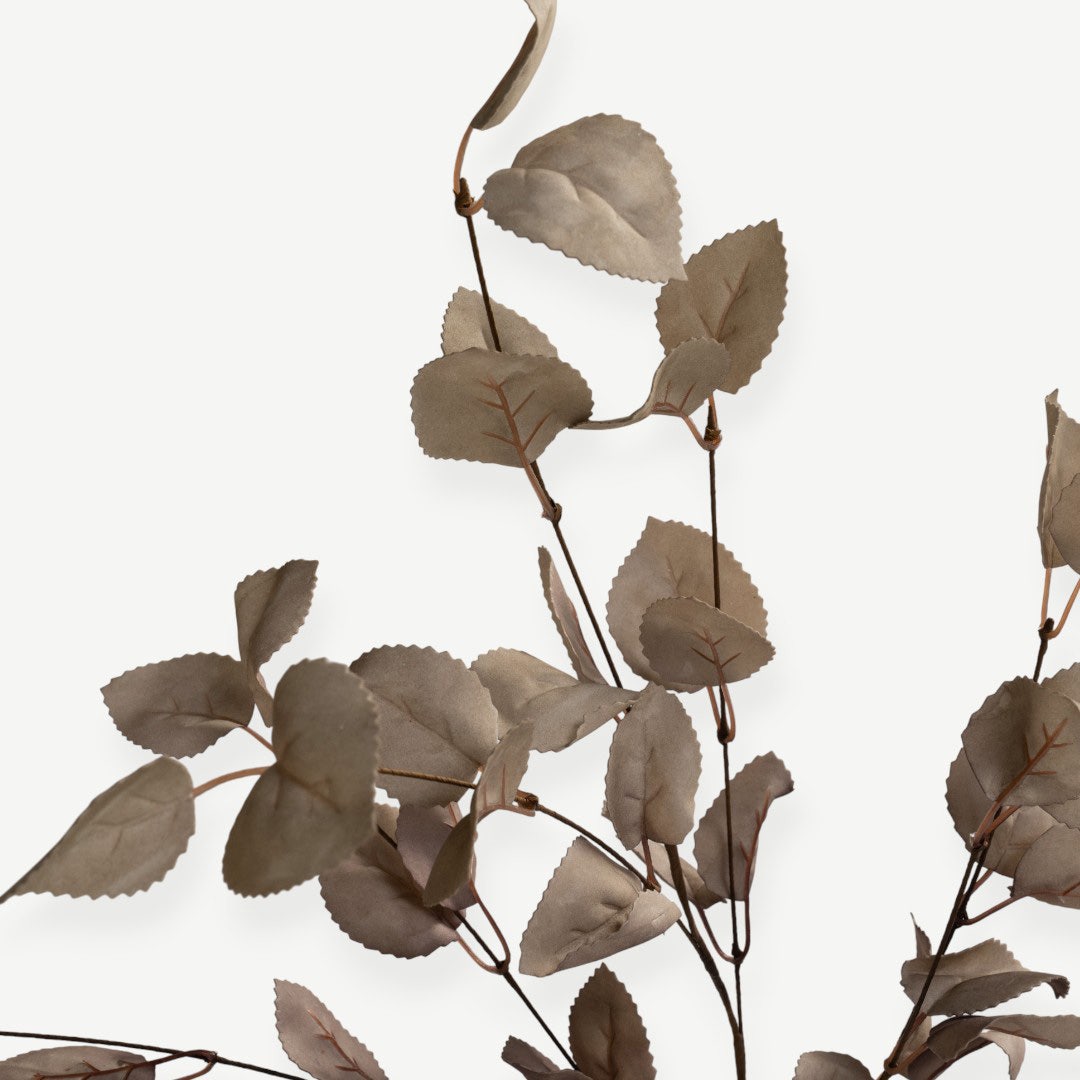 Eucalyptus Leaves - Beige
