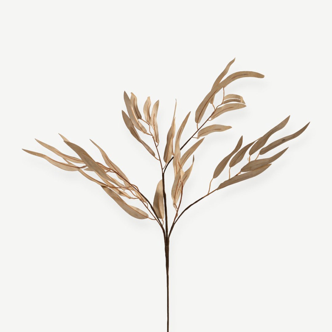 Eucalyptus Leaves - Beige