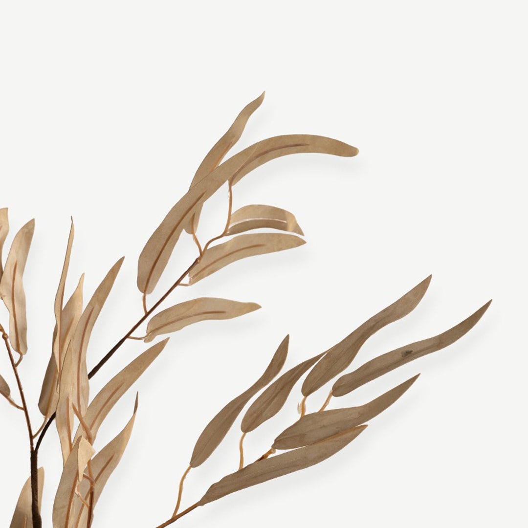 Eucalyptus Leaves - Beige