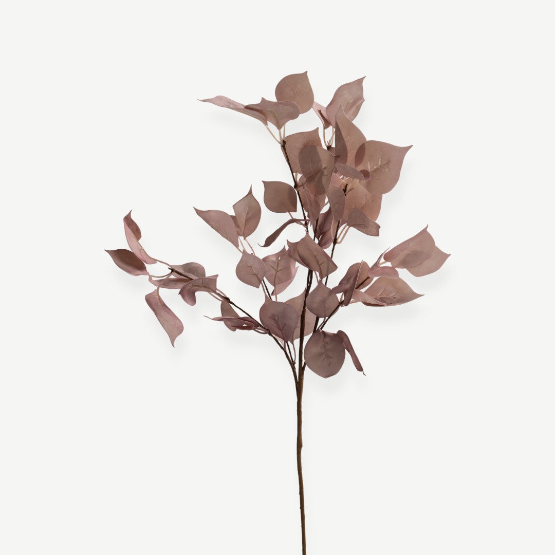 Eucalyptus Leaves - Pink