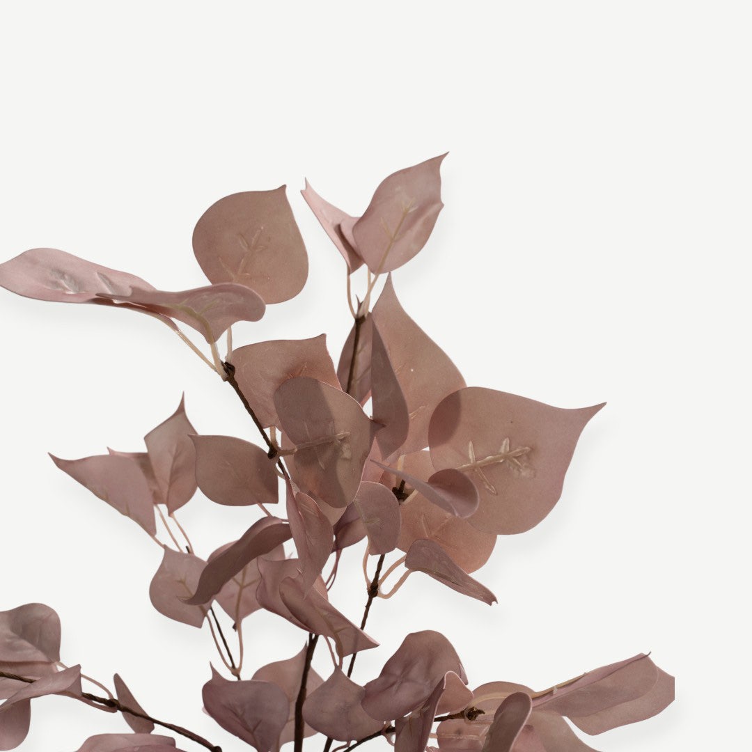Eucalyptus Leaves - Pink