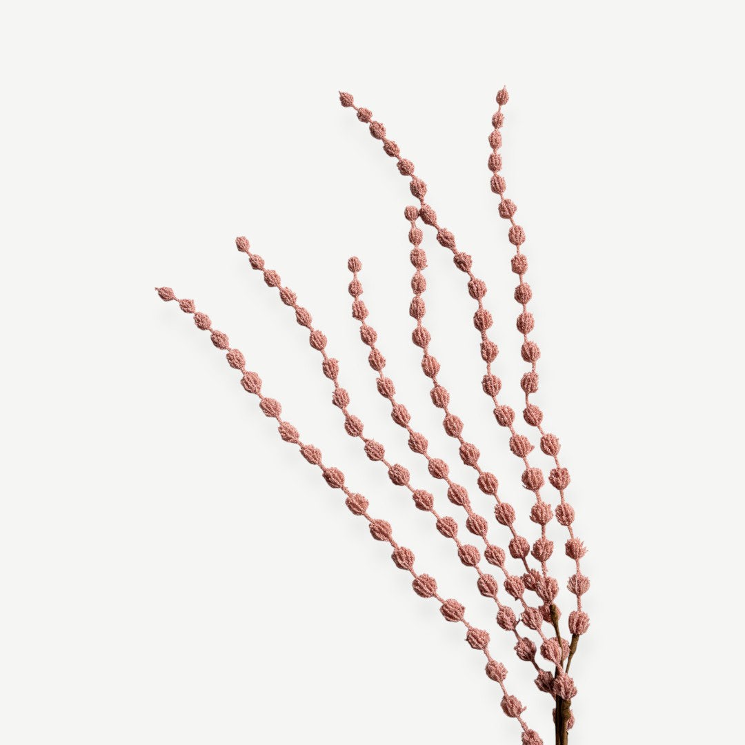 Long Spike Stem -Pink