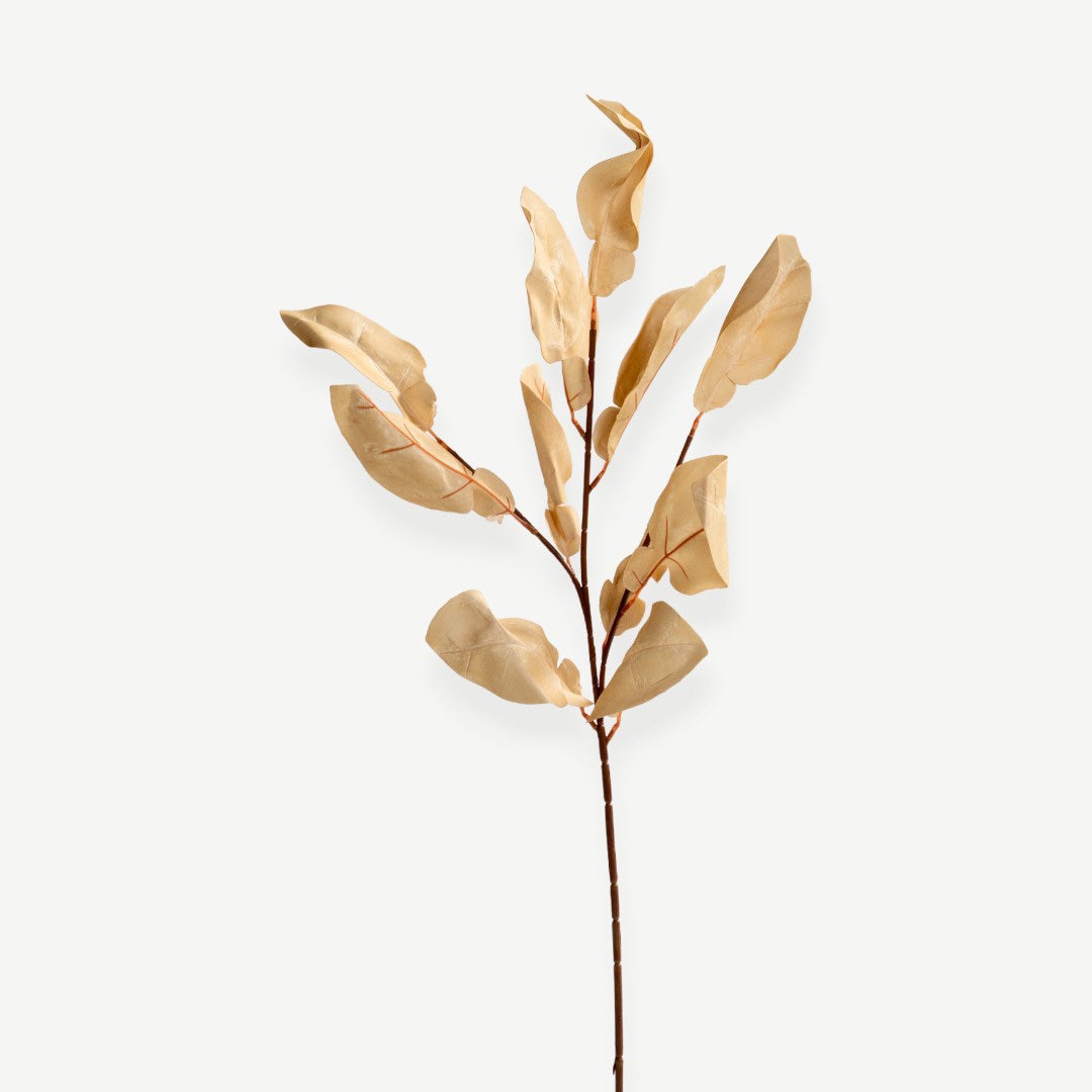 Eucalyptus Leaves - Beige