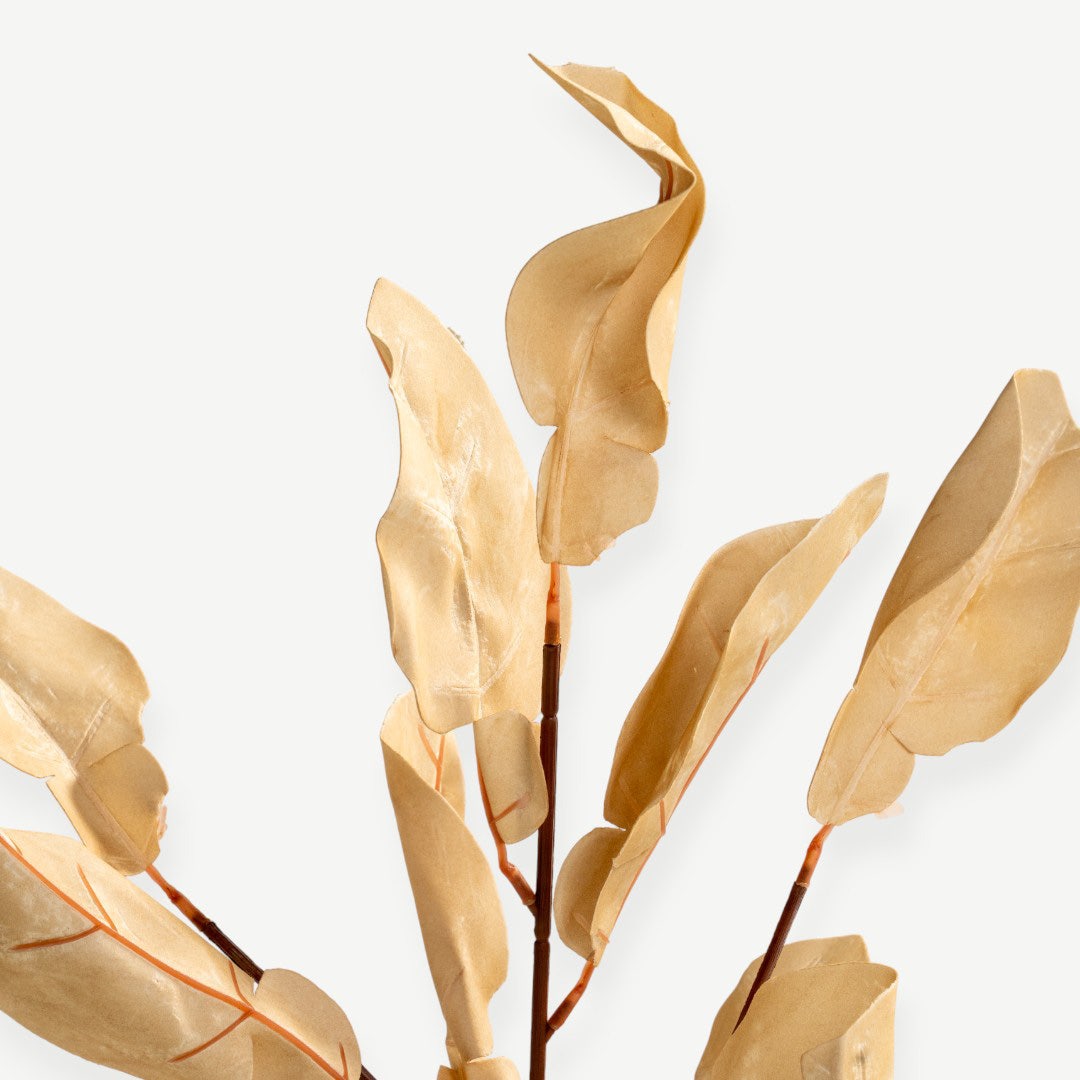 Eucalyptus Leaves - Beige