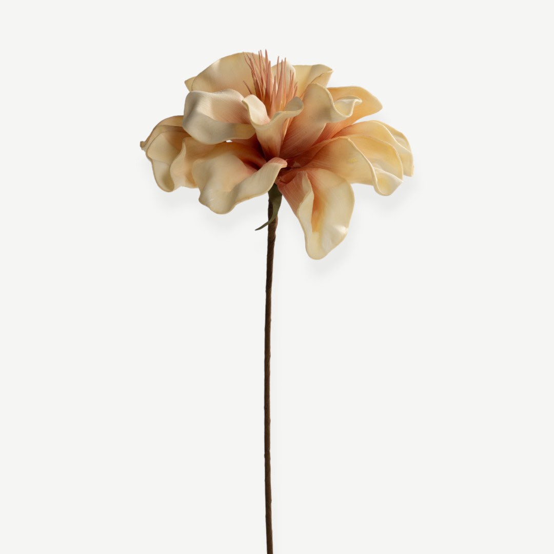 Canna Flower Stem- Yellow