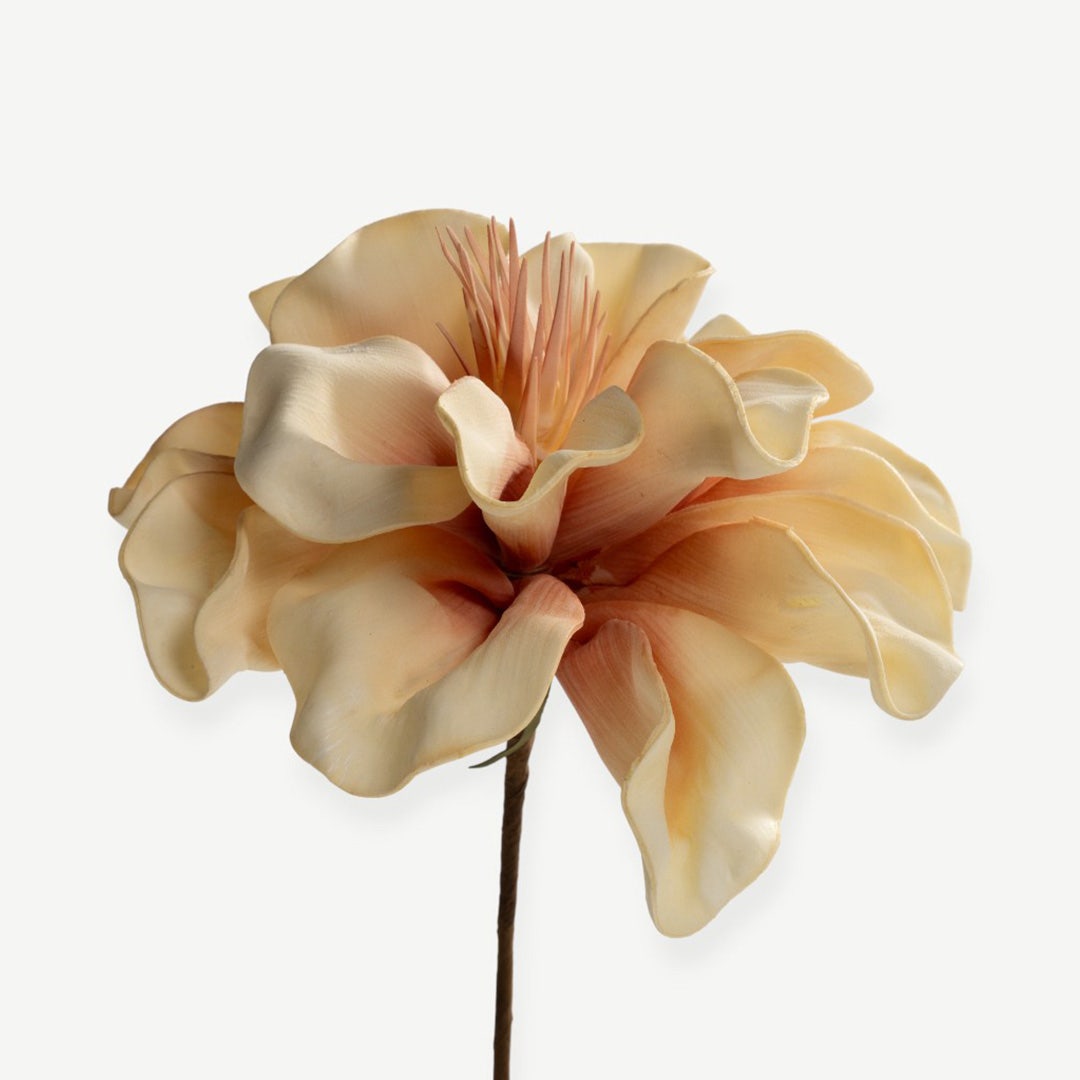 Canna Flower Stem- Yellow