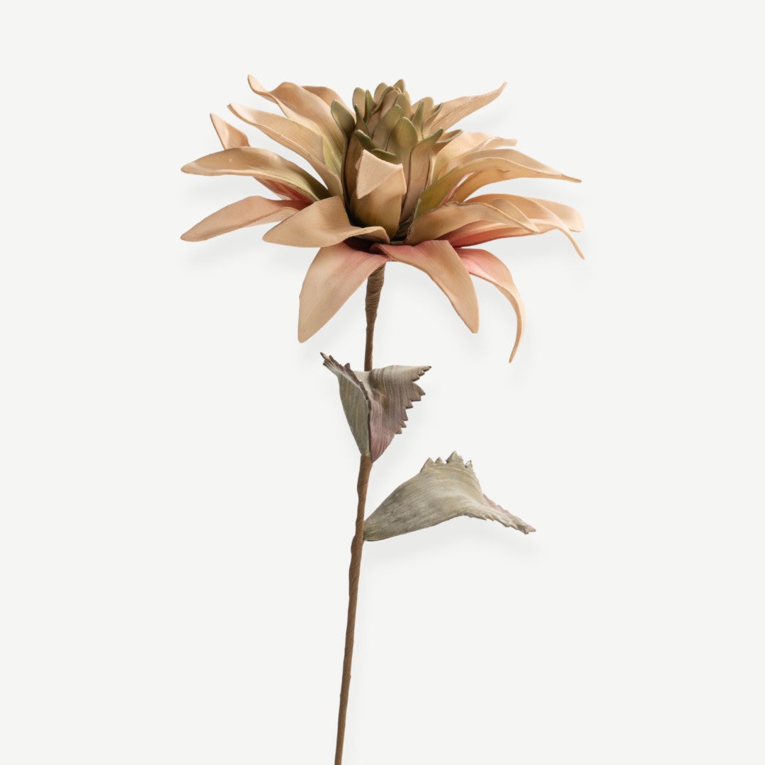 Bromelie Flower Stem - Beige