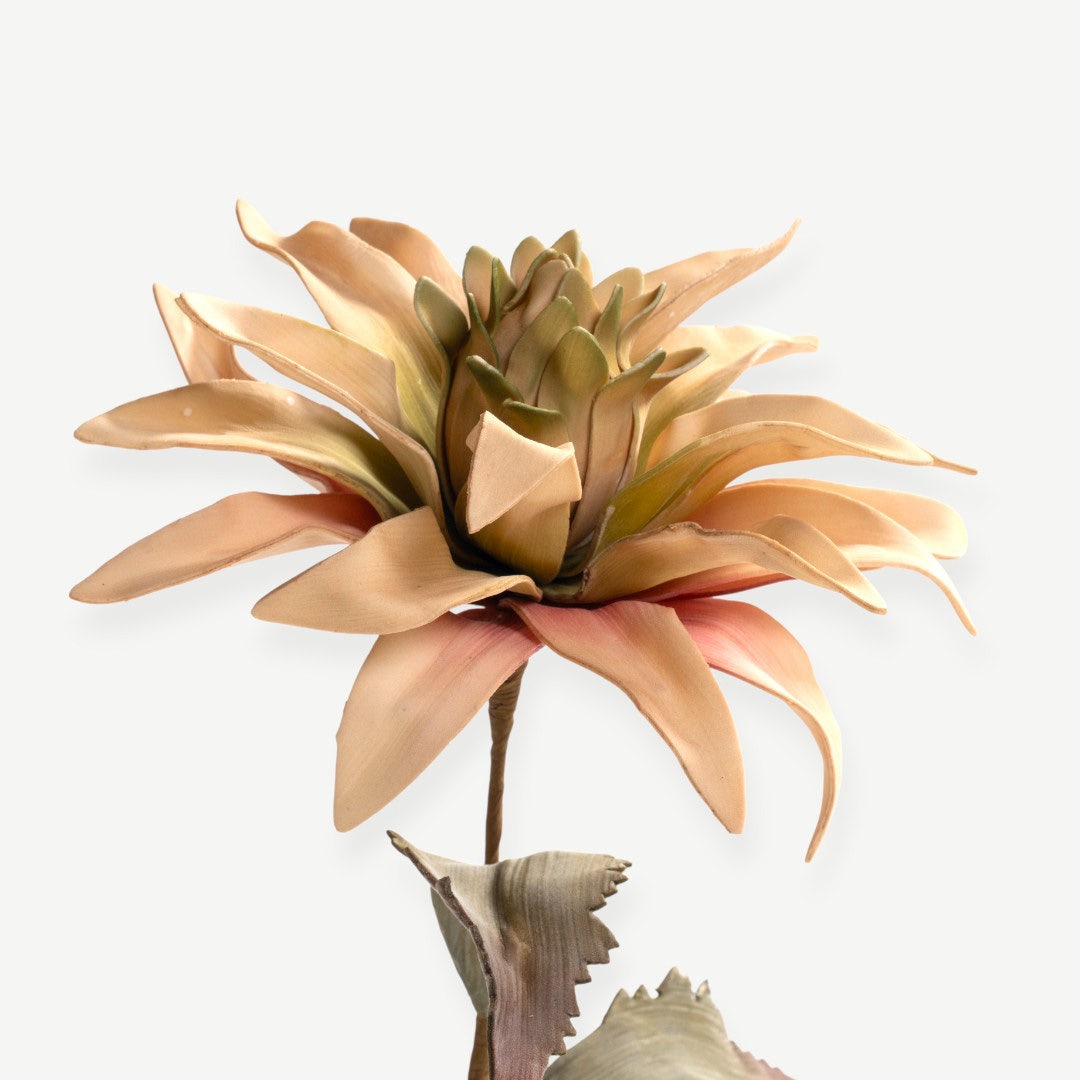 Bromelie Flower Stem - Beige