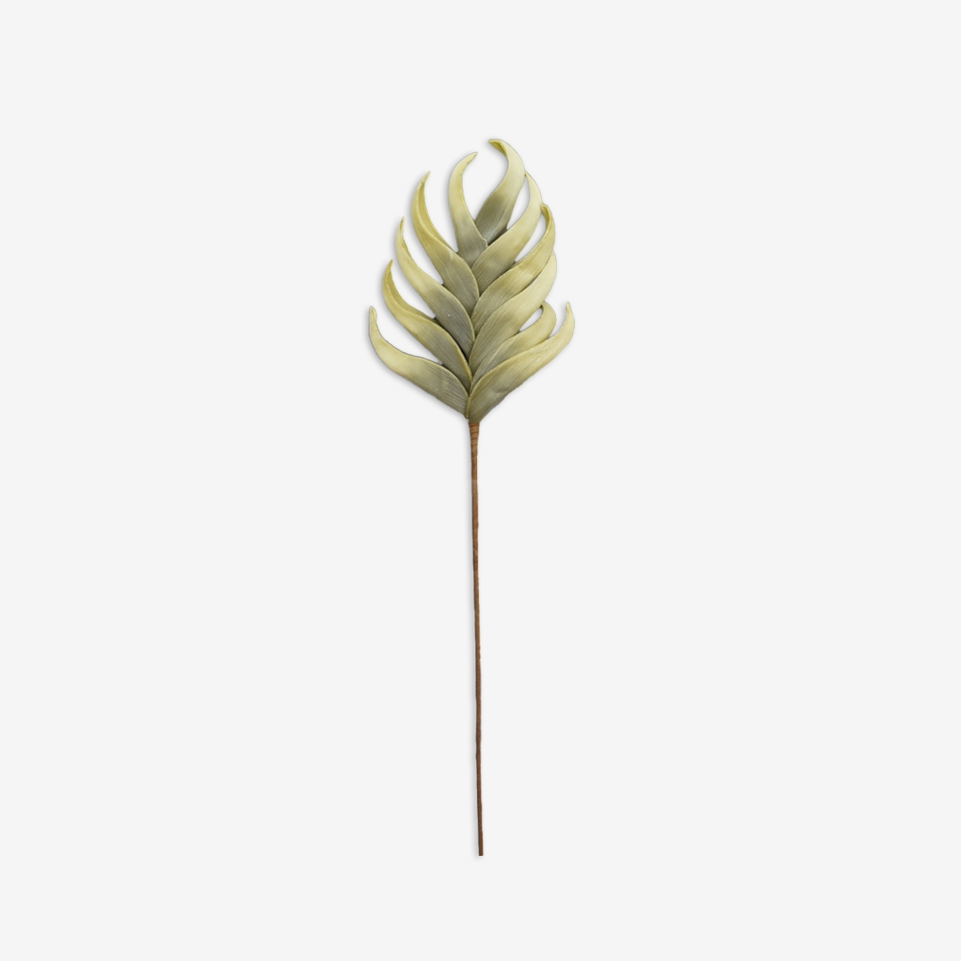 Heliconia Stem - Green