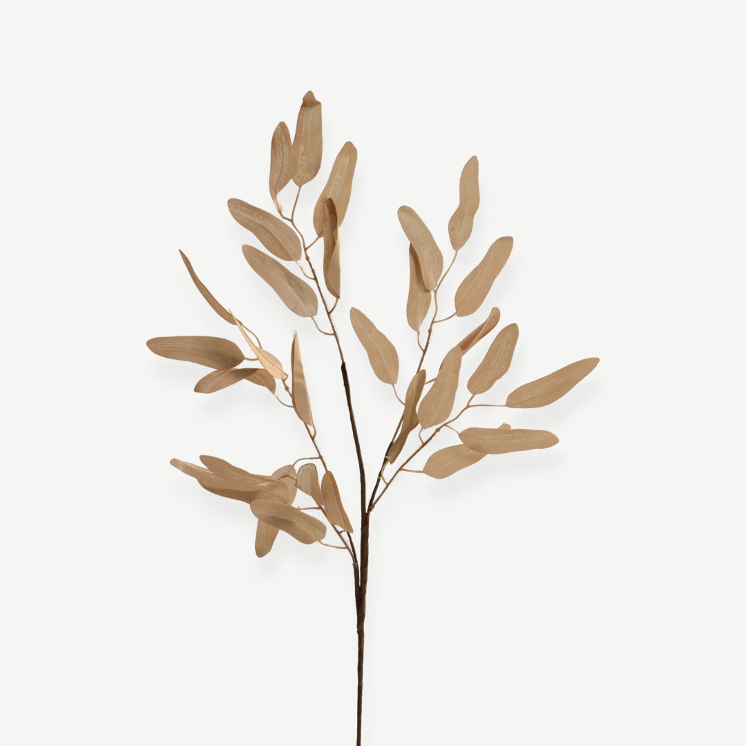 Eucalyptus Leaves - Beige