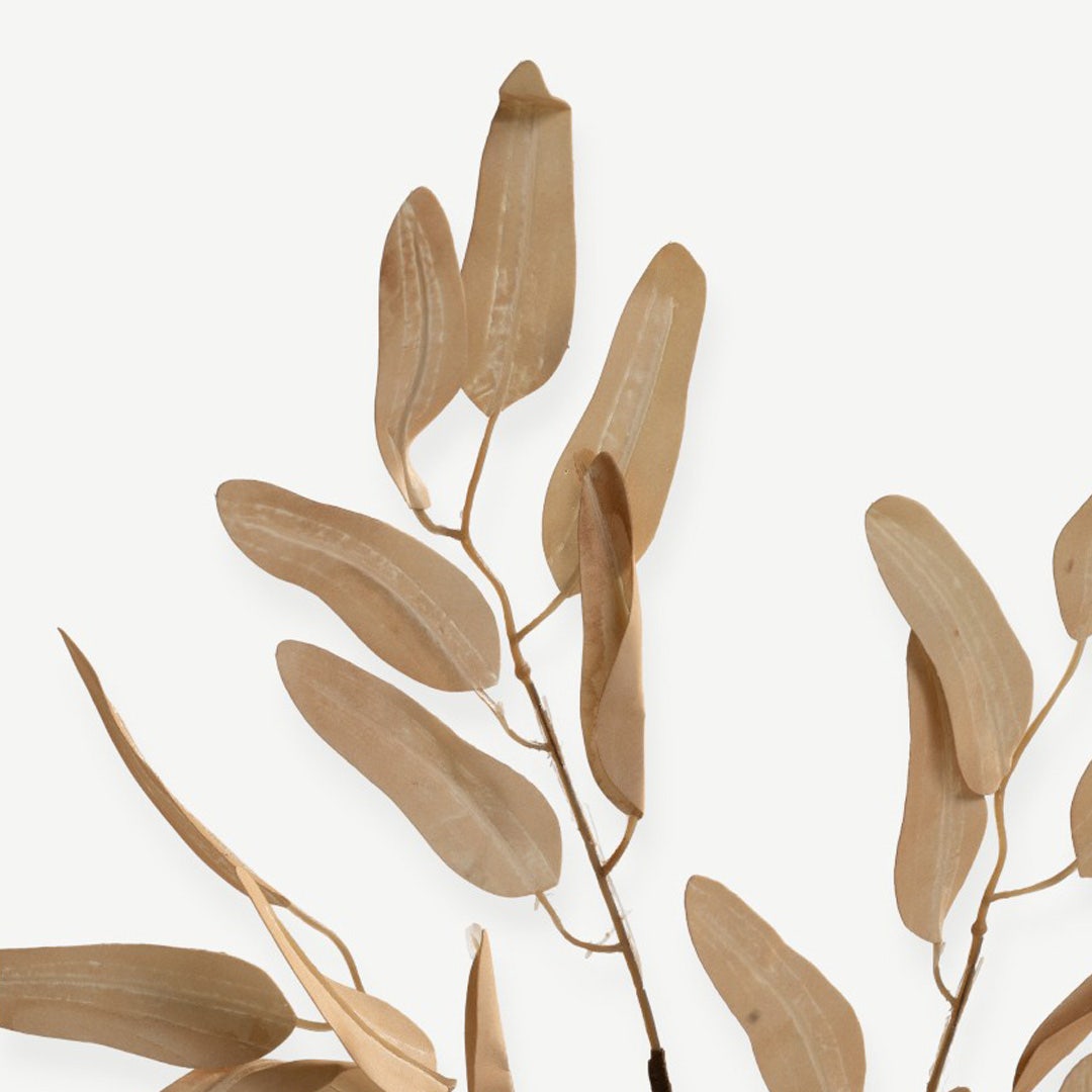 Eucalyptus Leaves - Beige