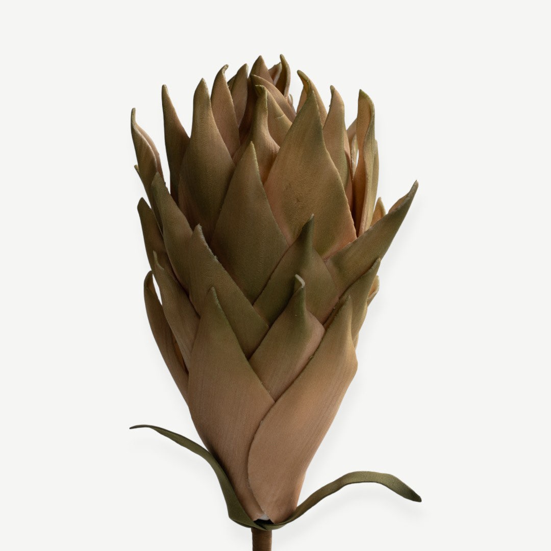 Protea Stem