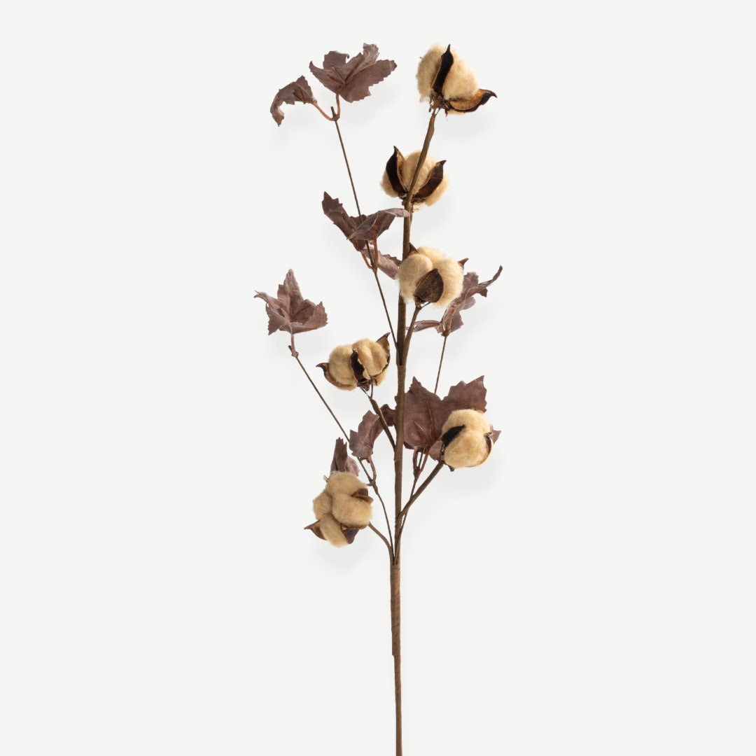 Cotton Branch - Beige