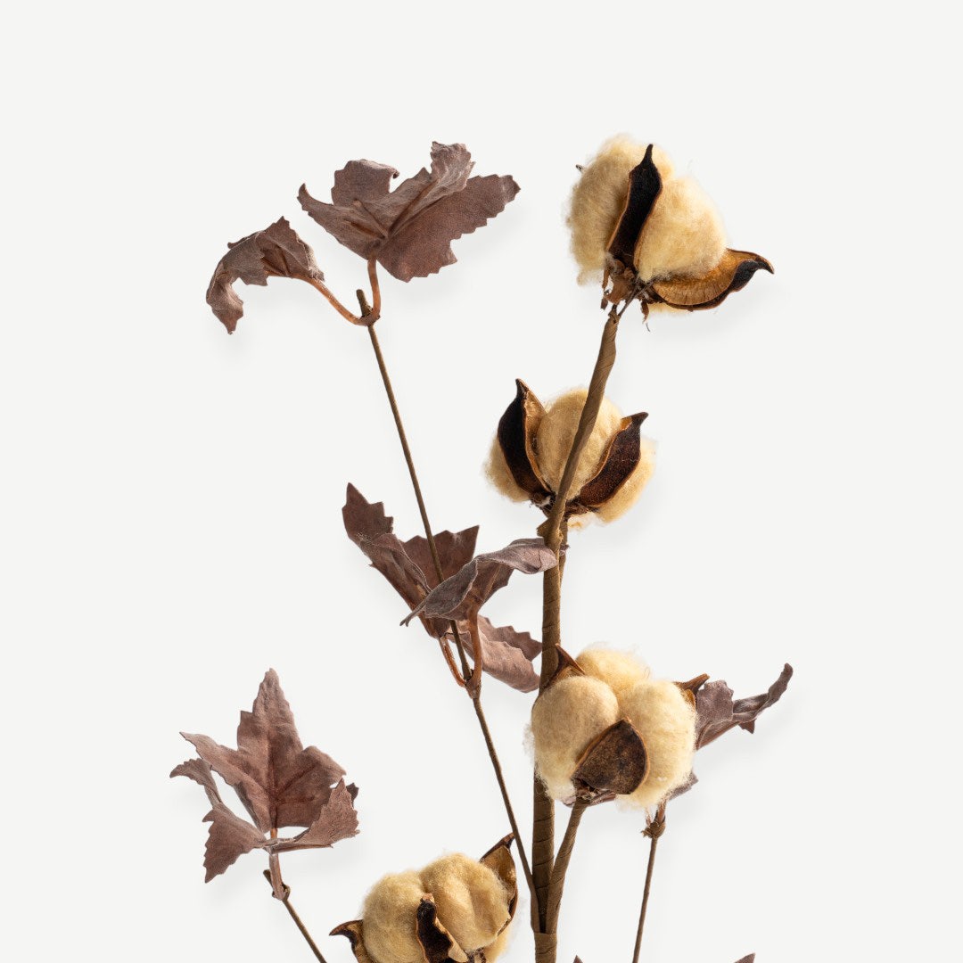 Cotton Branch - Beige