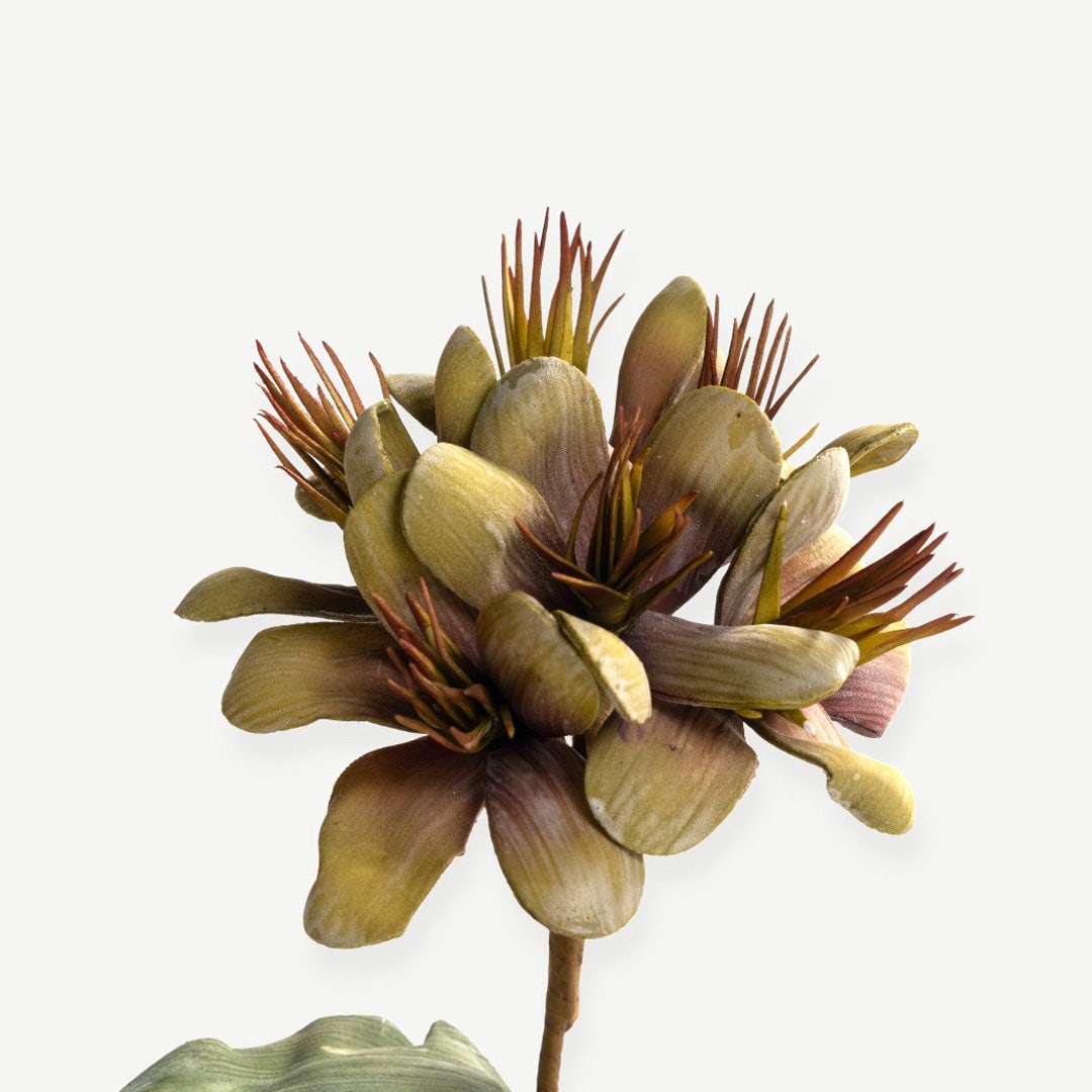 Geranium Flower Stem -Green