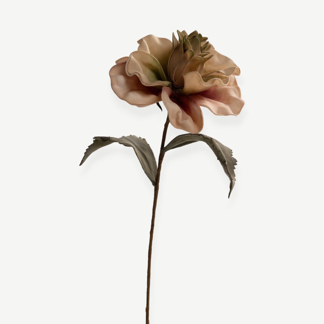 Canna Flower Stem- Beige