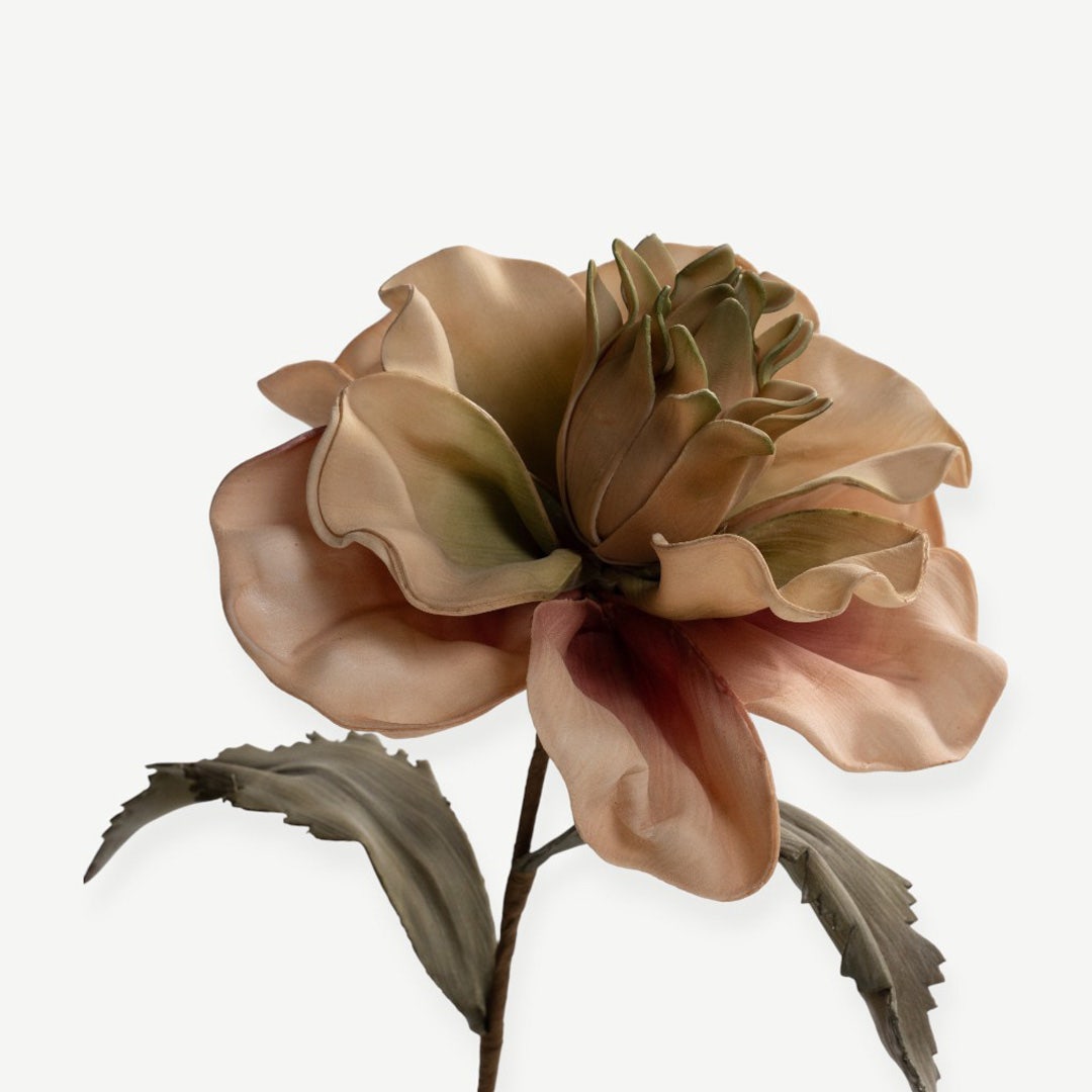 Canna Flower Stem- Beige