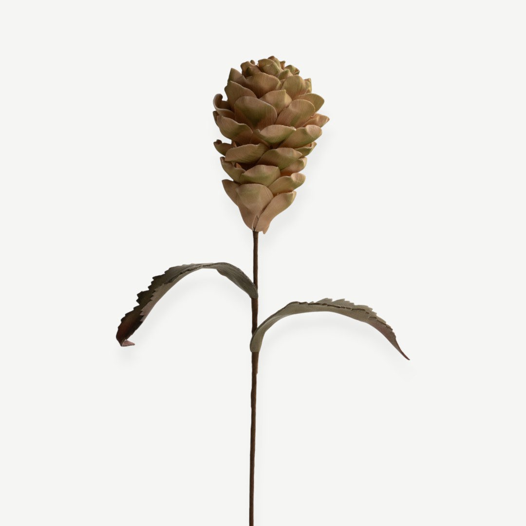 Protea Stem - Green