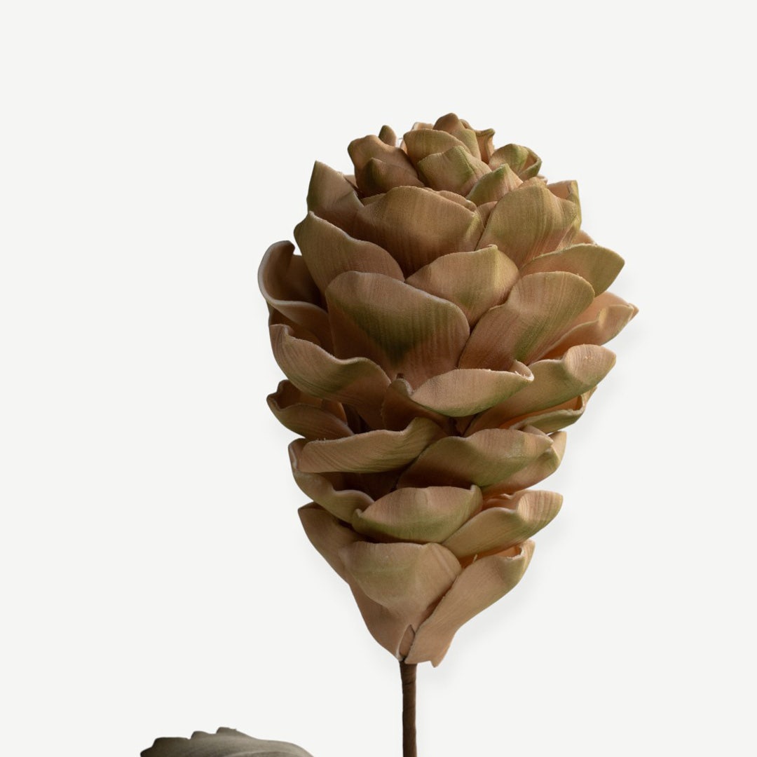 Protea Stem - Green