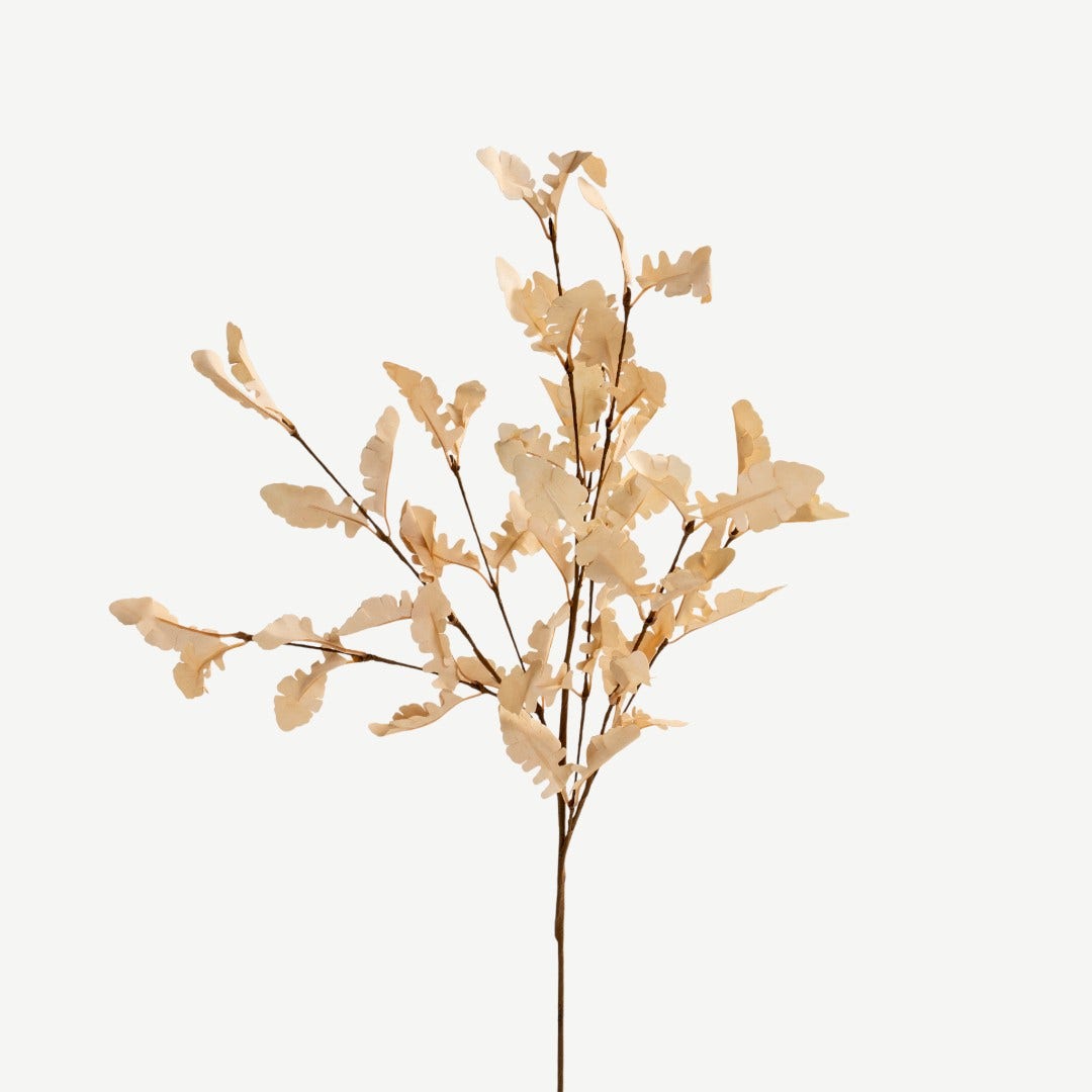 Eucalyptus Leaves - Beige