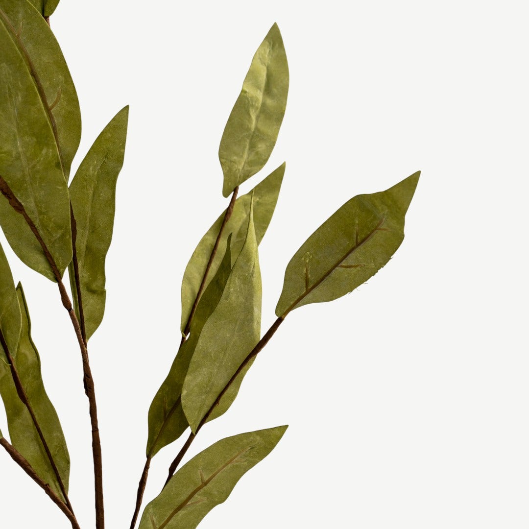 Willow Leaves - Green