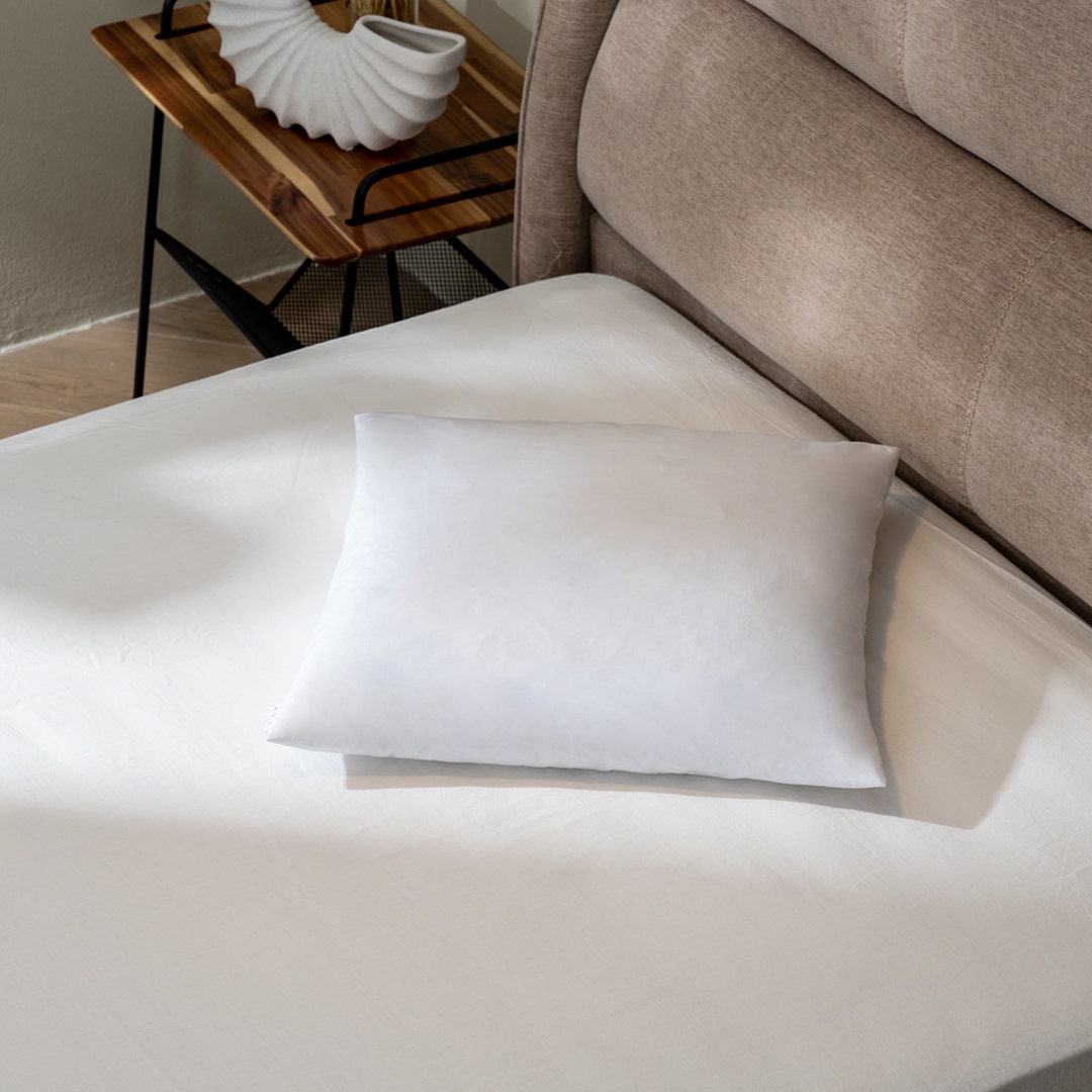 Antiseptic Sntzd Cushion Filler 60x60cm