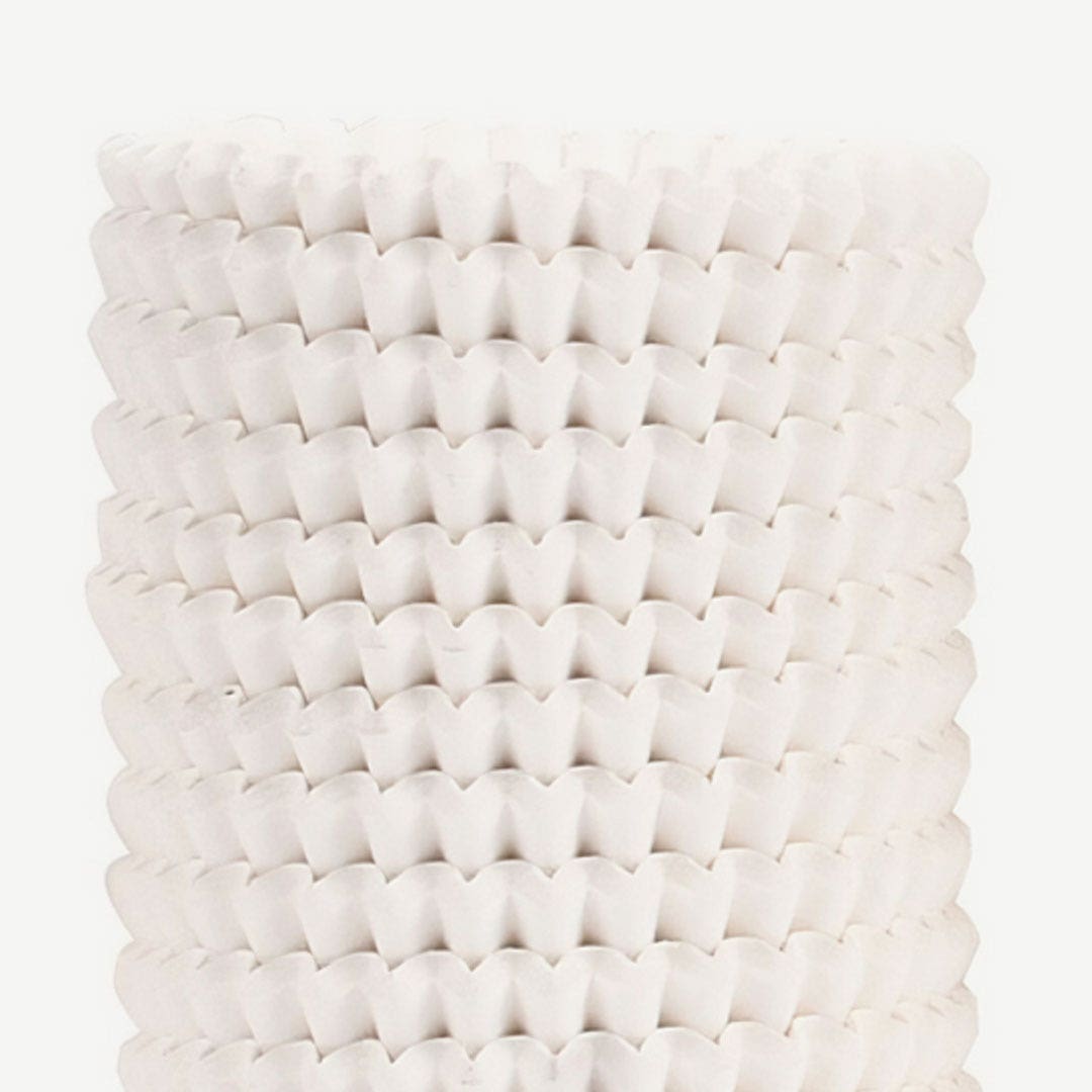 Arienne Cupcake Liner Set of 200pcs