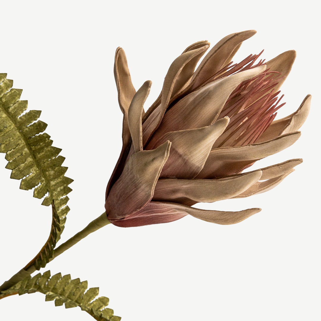 Artichoke Flower - Pink