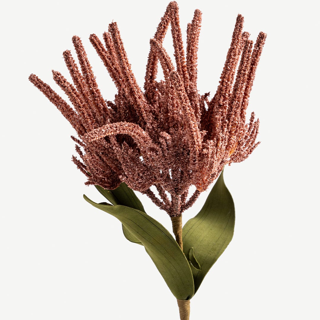 Astilbe Chinensis Flower Stem -Blush