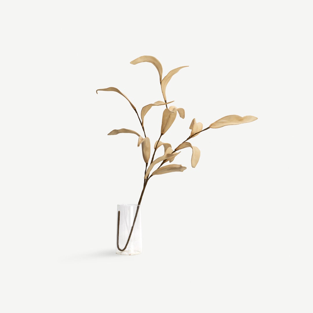 ورقة خيزران - بيج