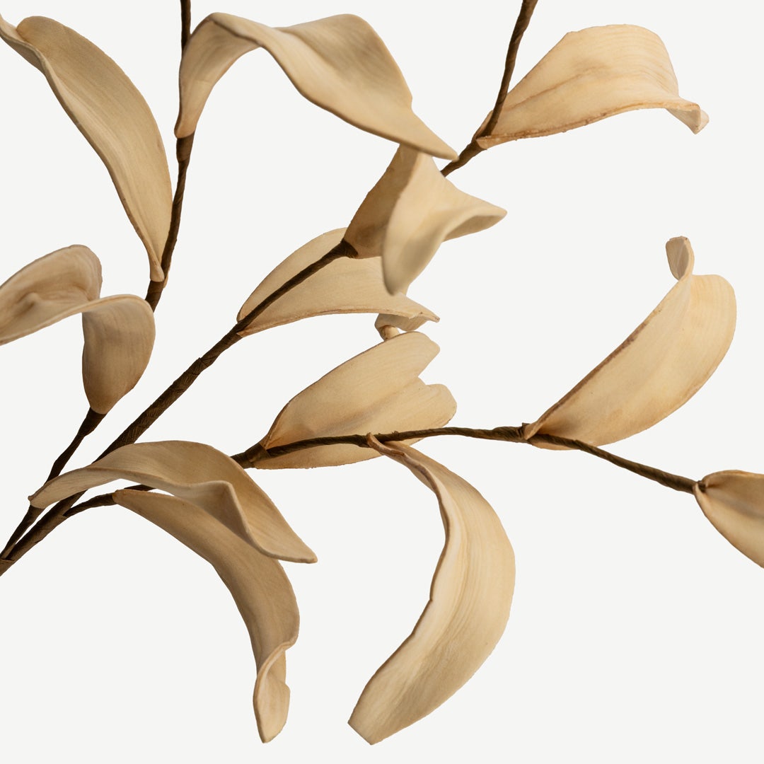 ورقة خيزران - بيج