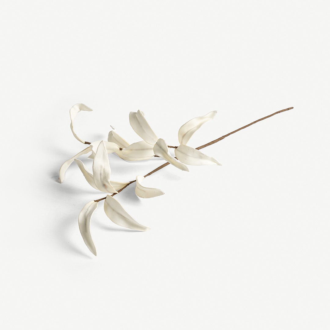 Bamboo Leave -Cream