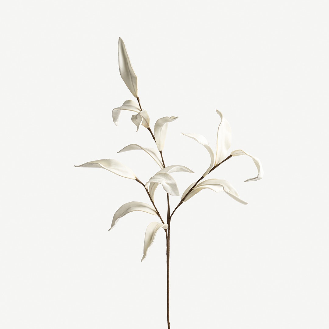 Bamboo Leave -Cream