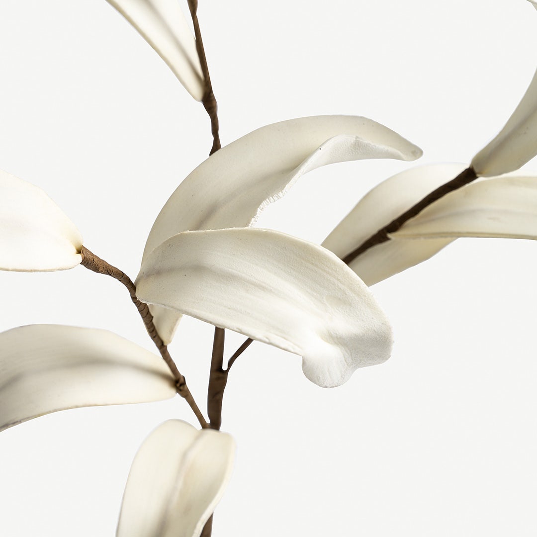 Bamboo Leave -Cream