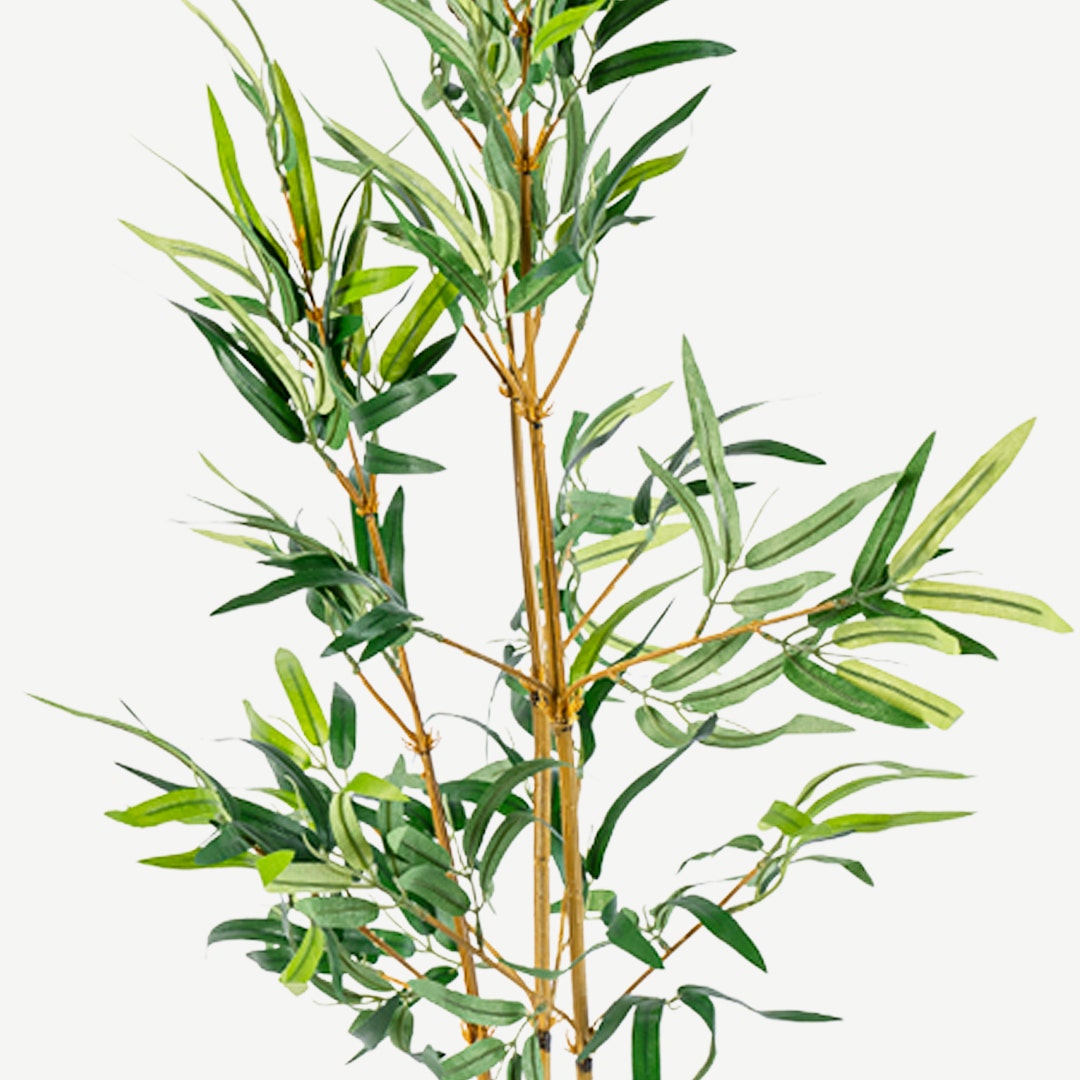 Bamboo Tree With Pot 97cm
