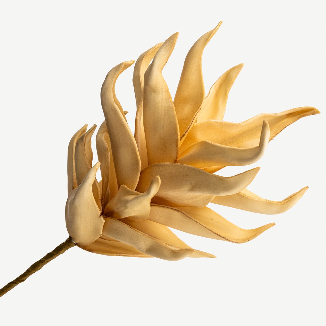 Bergamot Flower - Beige