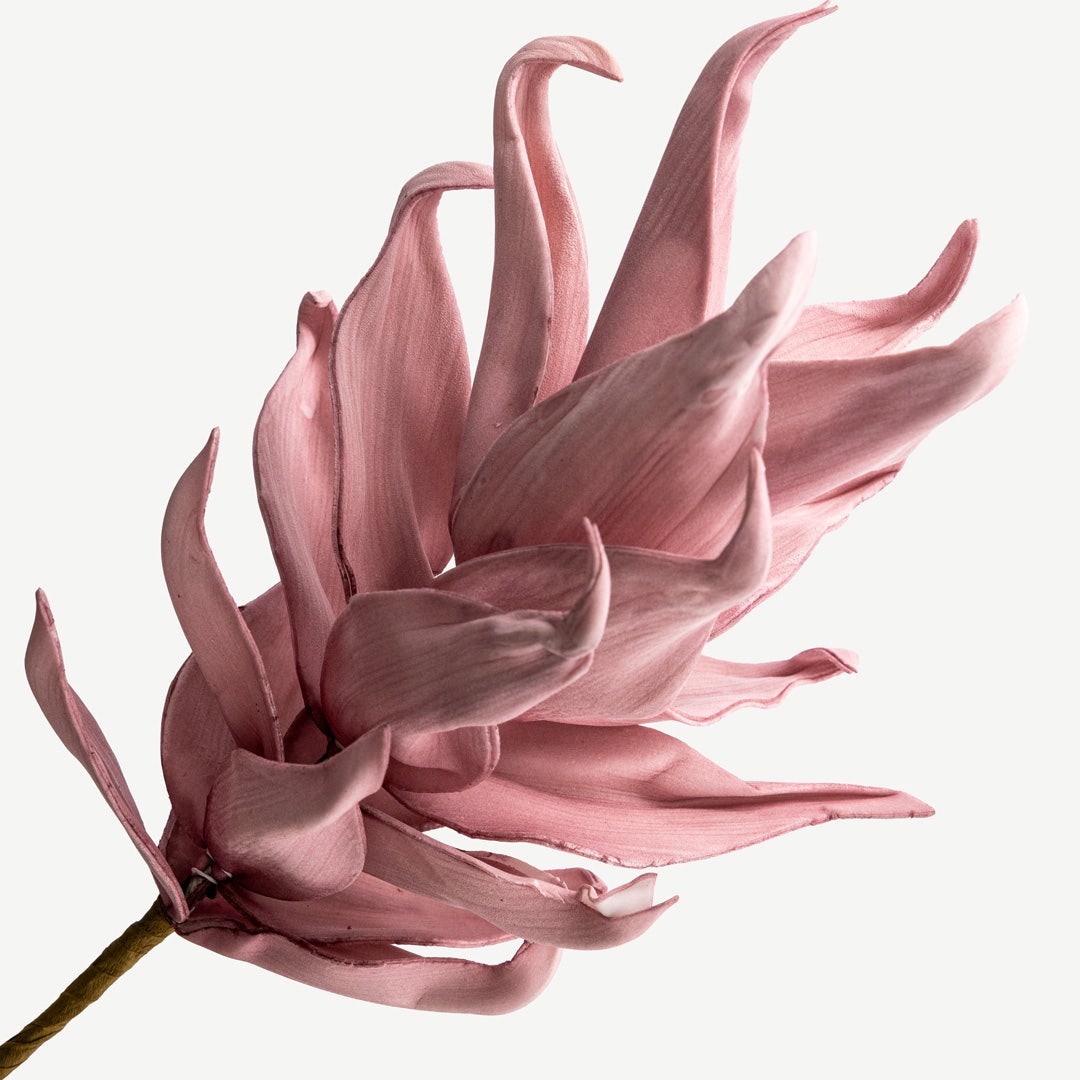 Bergamot Flower - Pink