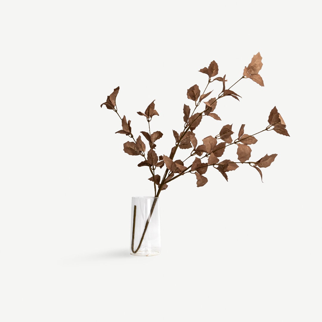 أوراق نبات الطائر الأزرق - بني