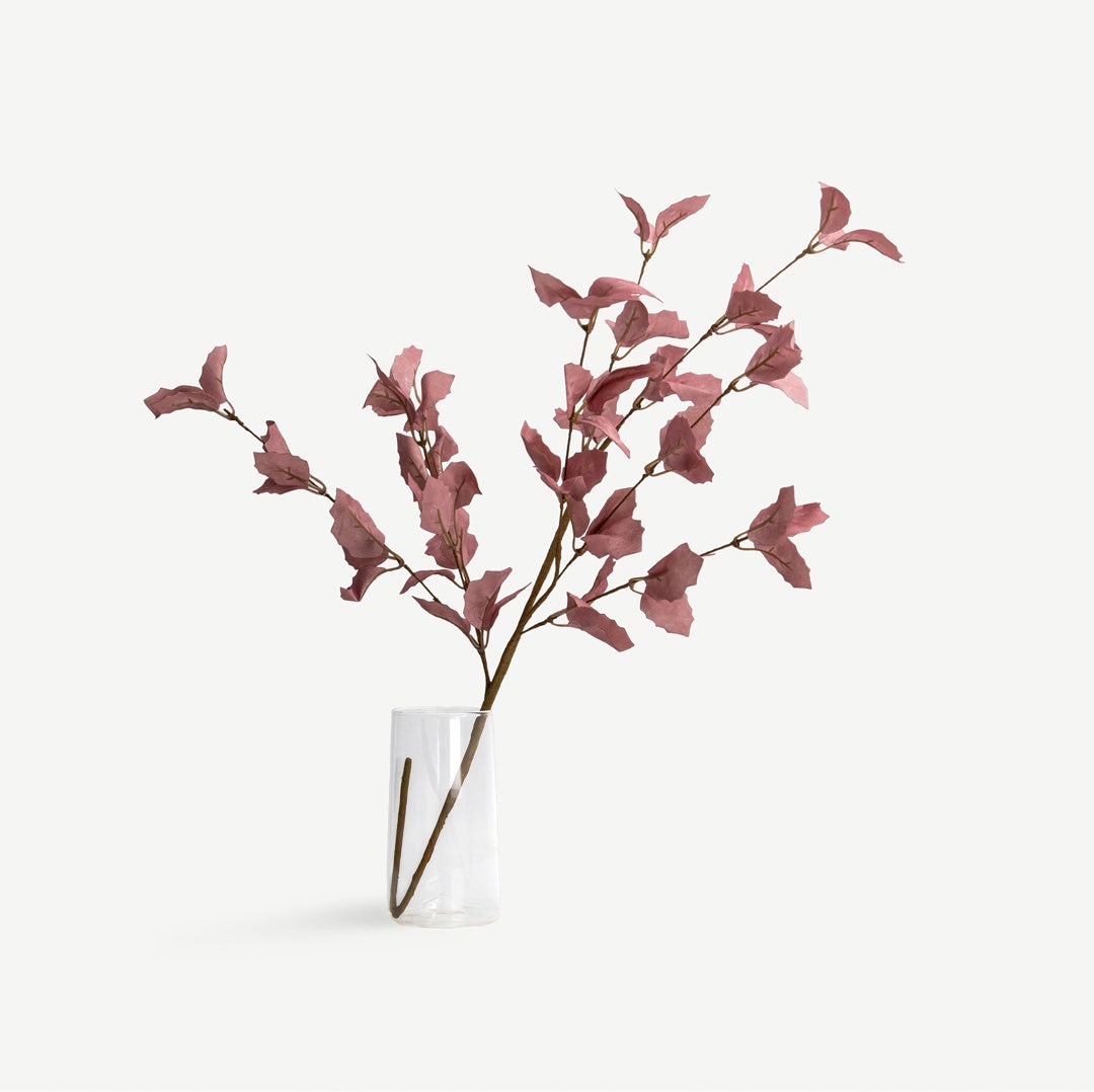 ورقة نبات الطائر الأزرق - وردي