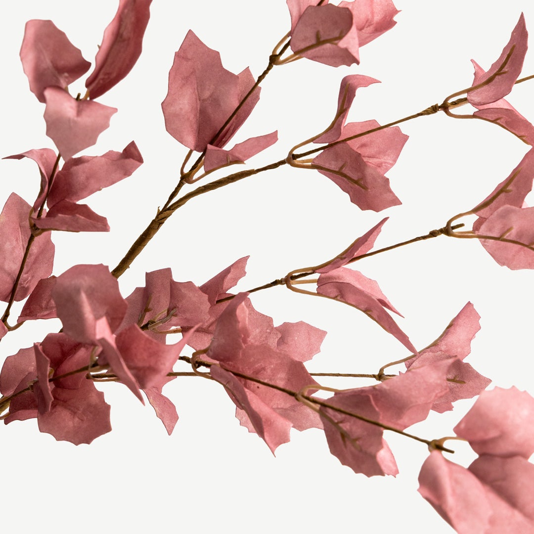 ورقة نبات الطائر الأزرق - وردي