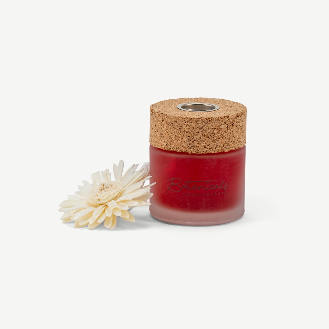 Botanicals Reed Diffuser -Orange