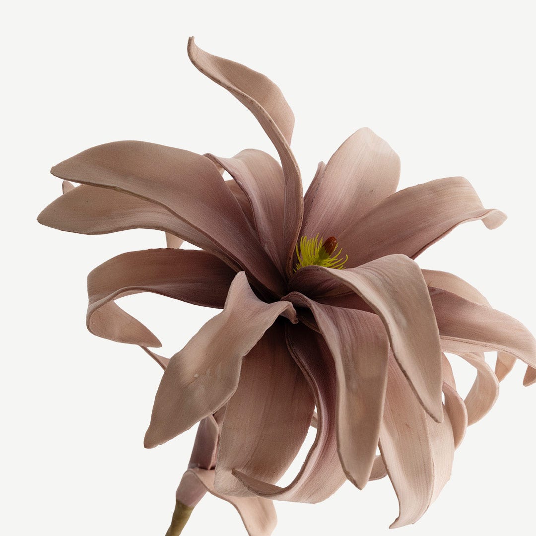 Bromelie Flower Stem - Pink