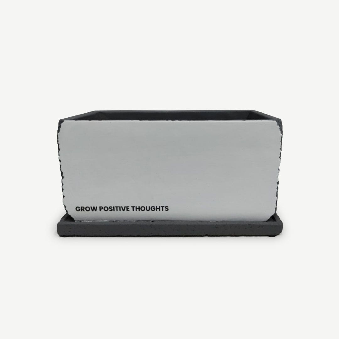 شارين وعاء زرع من الأسمنت 25.5x13 سم - رمادي