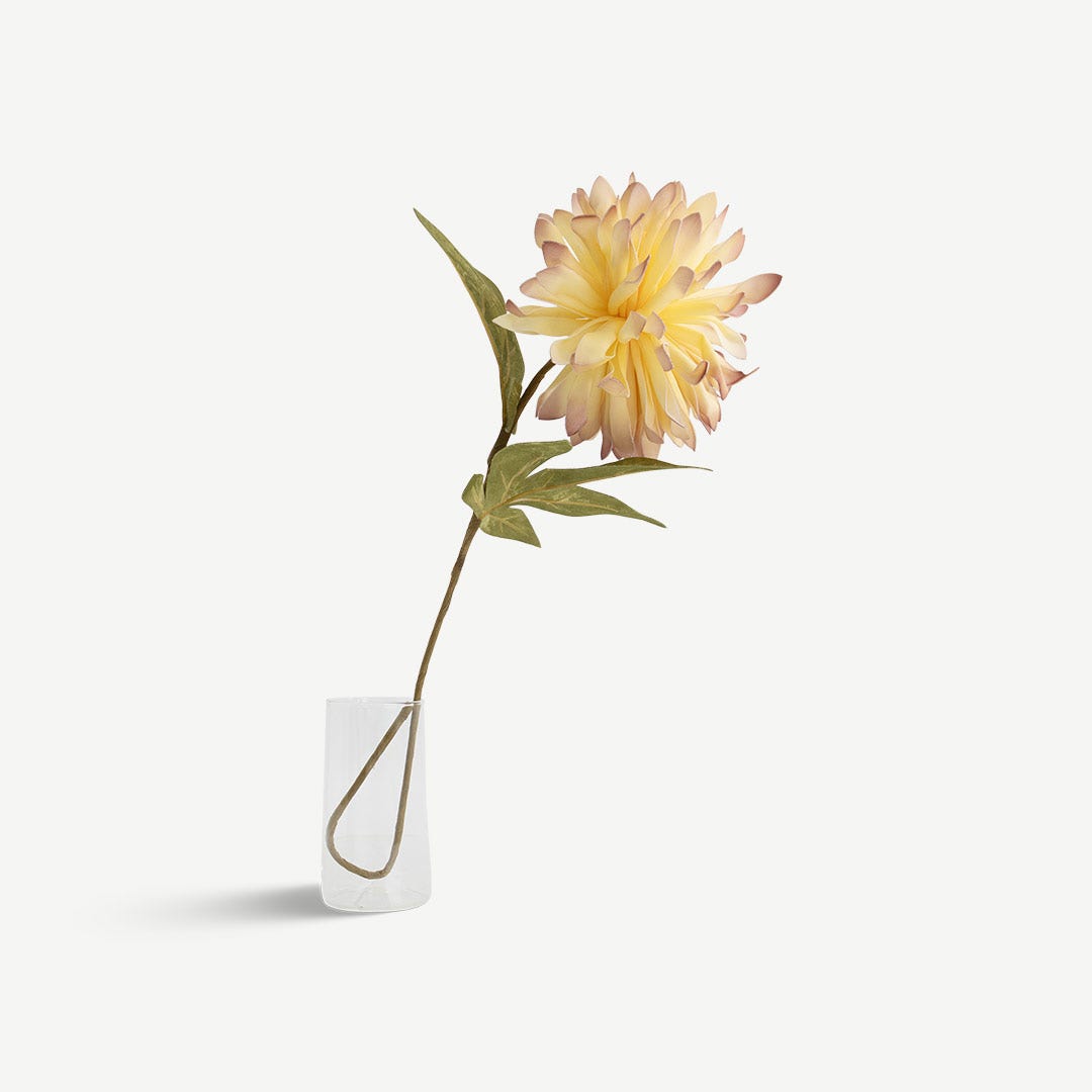 ساق زهرة الأقحوان - كريمي