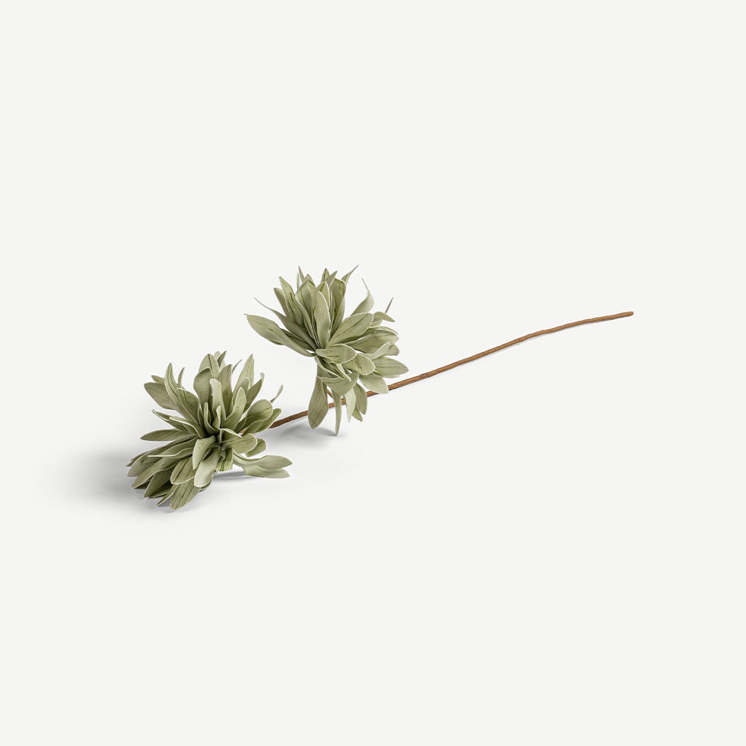 Chrysanthemum Flower Stem -Pastel Green
