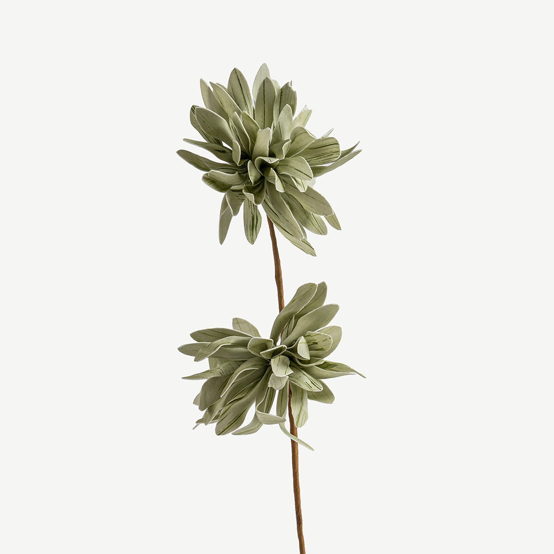 Chrysanthemum Flower Stem -Pastel Green