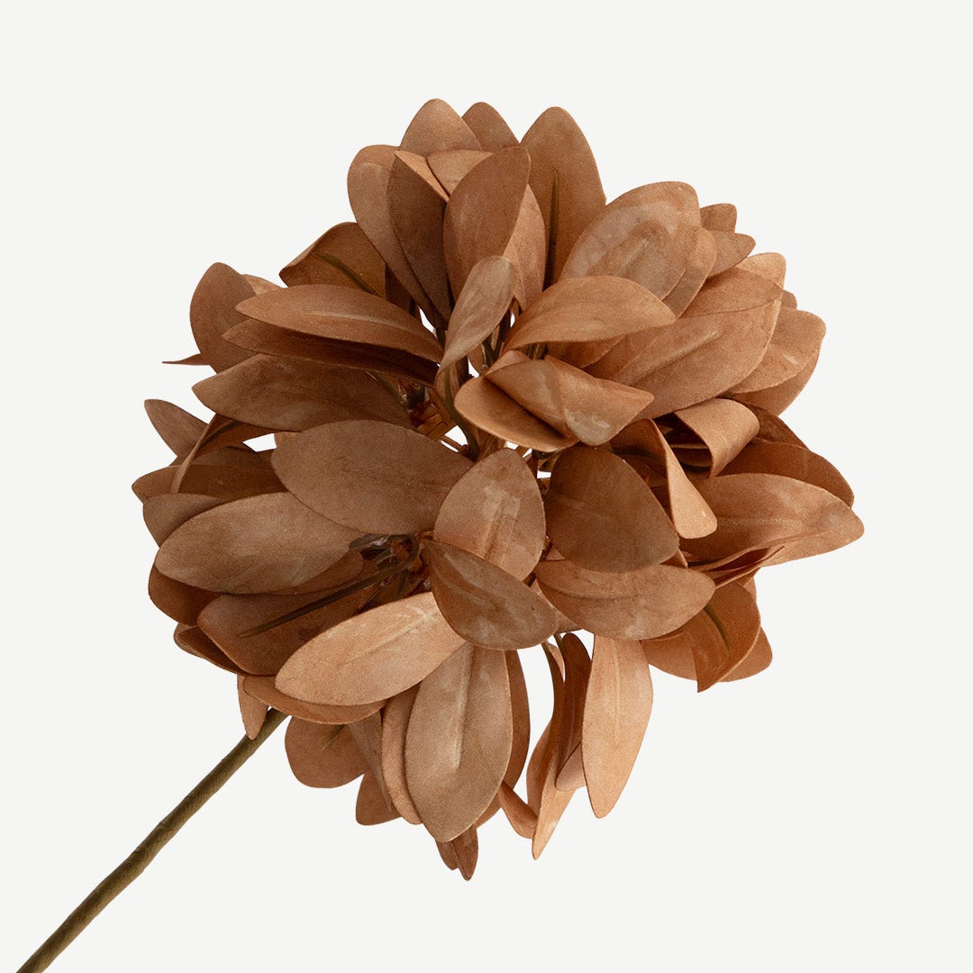 ساق زهرة كورنفلاور - برتقالي